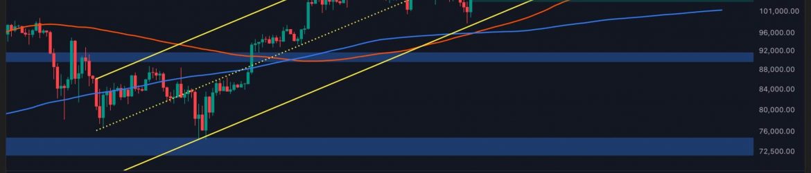 Bitcoin-Price-Analysis--Will-a-Key-Support-Break-Trigger-More-Losses-for-BTC-